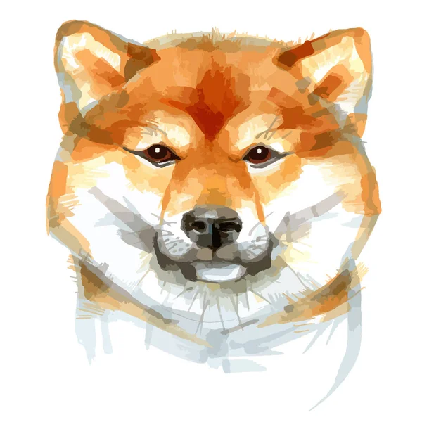 Vector illustration of sketch markers of collie portrait. — ストックベクタ