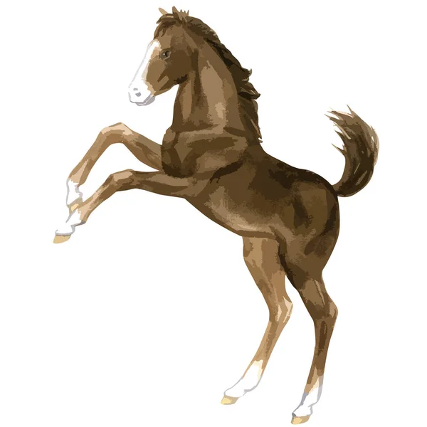 Vector watercolor illustration of running baby horse. — стоковый вектор