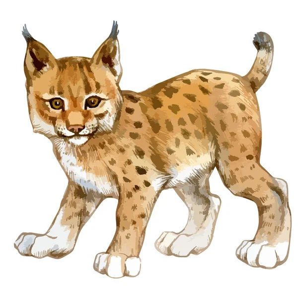 Sekiz, on bir, beş, dört, dokuz, bir, yedi, altı, on, üç, on iki,