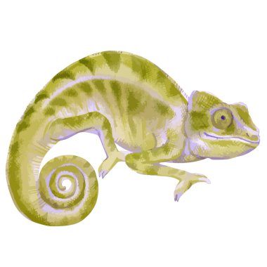 Sekiz, on bir, beş, dört, dokuz, bir, yedi, altı, on, üç, on iki,