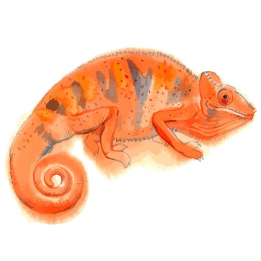 Sekiz, on bir, beş, dört, dokuz, bir, yedi, altı, on, üç, on iki,