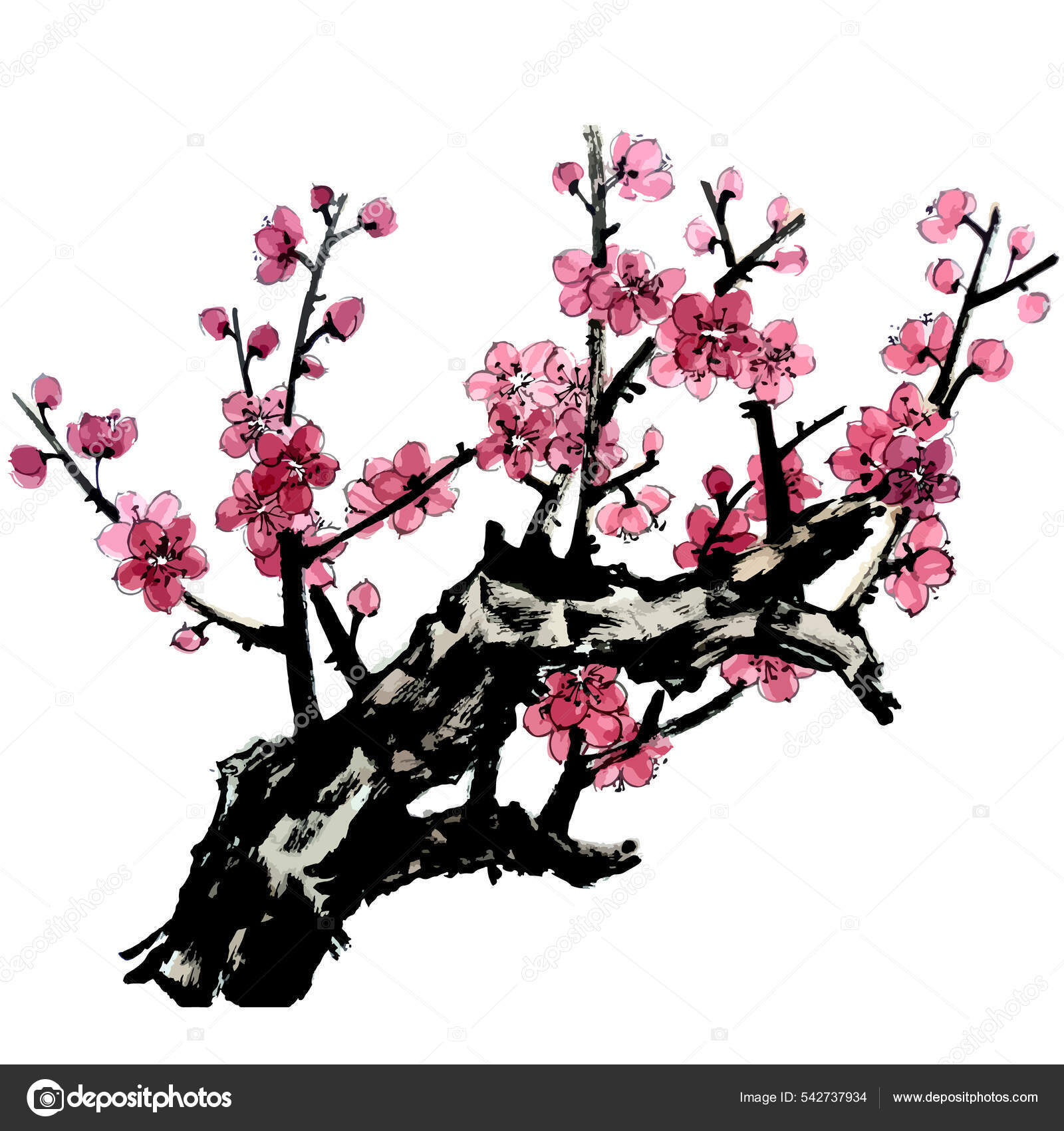 Eight Eleven Five Four Nine One Seven Six Ten Three Stock Vector by