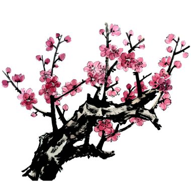 Sekiz, on bir, beş, dört, dokuz, bir, yedi, altı, on, üç, on iki,