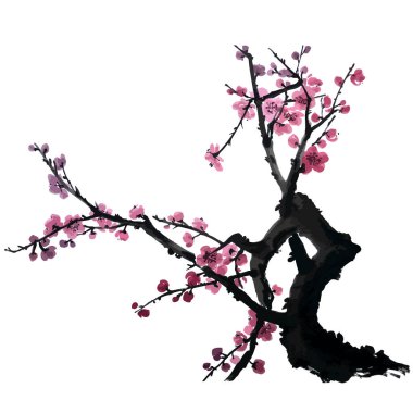 Sekiz, on bir, beş, dört, dokuz, bir, yedi, altı, on, üç, on iki,