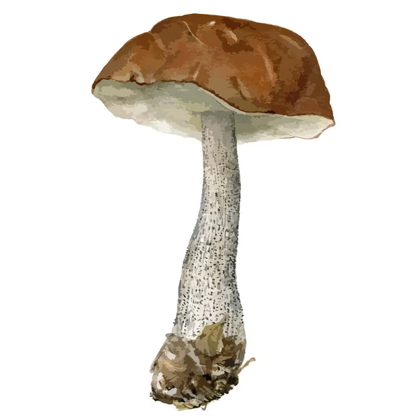 Wektor ilustracja portretu akwarela grzyba — Wektor stockowy