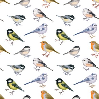 Orman kuşlarıyla kusursuz desenlerin vektör çizimi