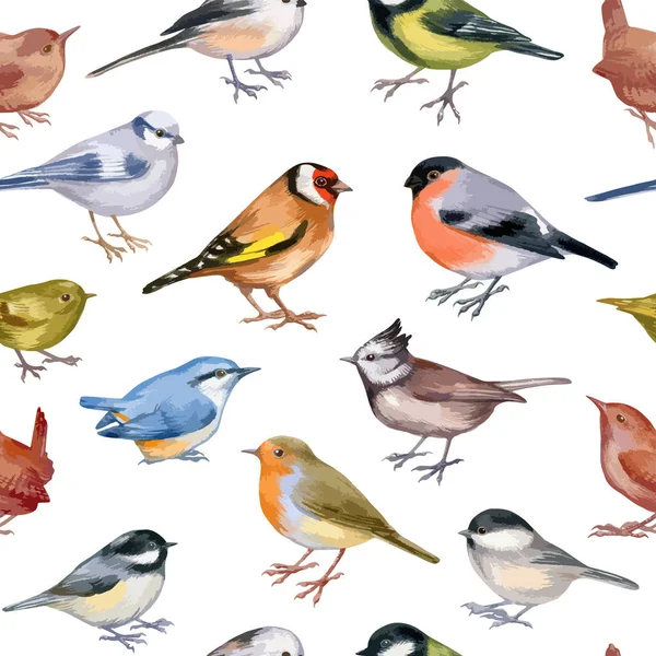 Illustration vectorielle d'un motif sans couture avec des oiseaux forestiers — Image vectorielle