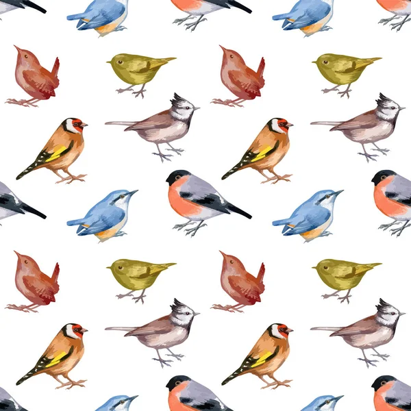 Векторная иллюстрация бесшовного рисунка с лесными птицами — стоковый вектор