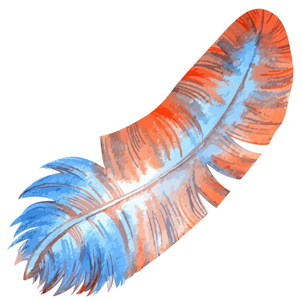 Akvarell vektor illustration av färgglada fågel fjäder — Stock vektor