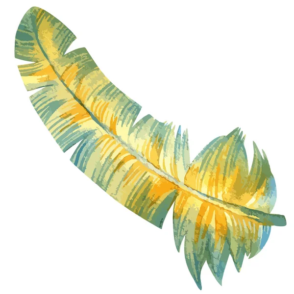 Ilustración vectorial de acuarela de plumas coloridas — Vector de stock