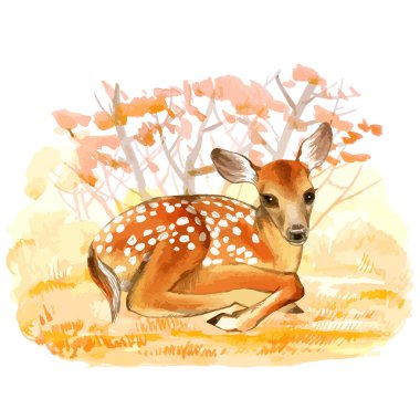 Orman arka planında geyik yavrusunun suluboya vektörü.