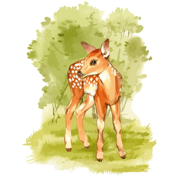 Watercolor vector of fawn on the forest background. — Stock Vector