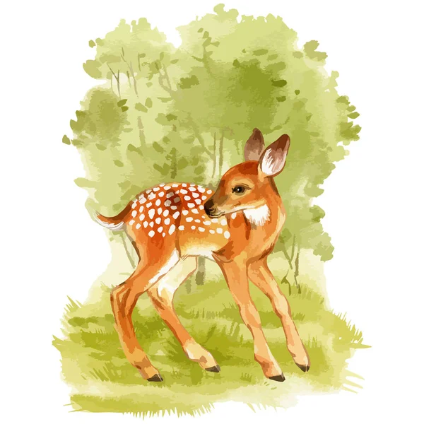 Watercolor vector of fawn on the forest background. — Stock Vector