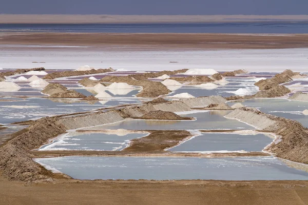 Salt smärta — Stockfoto