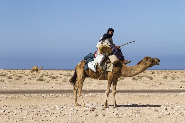 Nomad shepherd — Stock Photo, Image