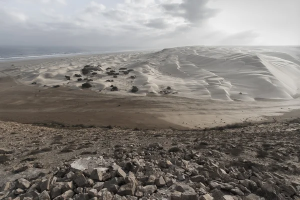 Duinen van het plage blanche — Stockfoto