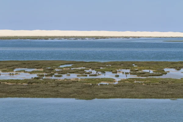 Estuary — Stock Photo, Image