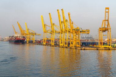 bağlantı noktası Vinçler