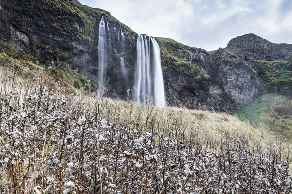 Iceland megye — Stock Fotó