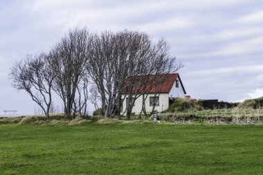 İzlanda