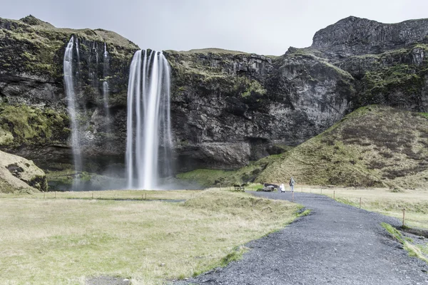 Iceland megye — Stock Fotó