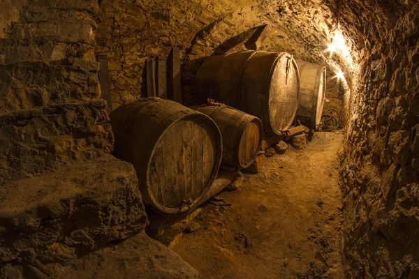 Wine cellar — Stock Photo, Image