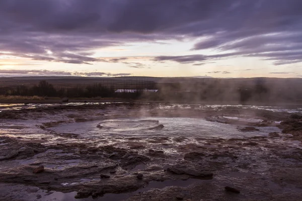 Ghiandaia — Foto Stock