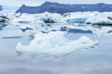 İzlanda Ice