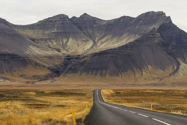 冰岛景观 免版税图库照片
