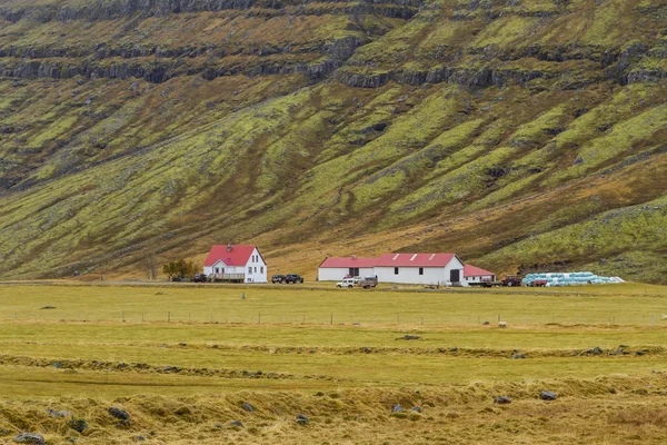 Maisons islandaises — Photo