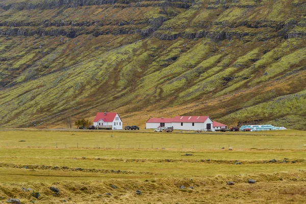 Icelandic houses Stock Picture