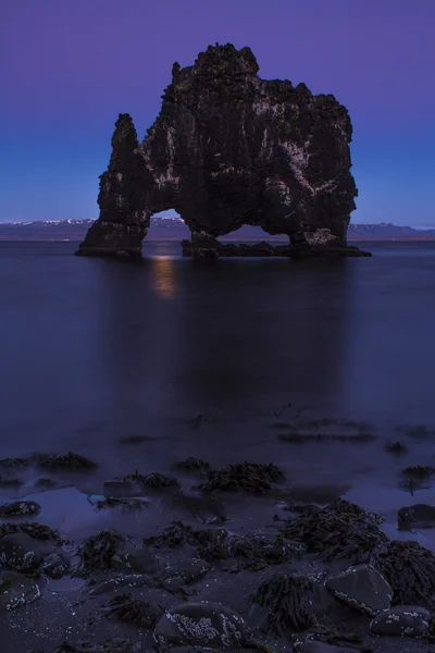 Taşlaşmış kaya — Stok fotoğraf