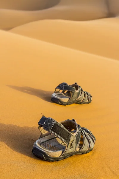 Deserto de areia — Fotografia de Stock