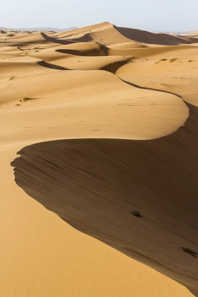 Deserto de areia — Fotografia de Stock