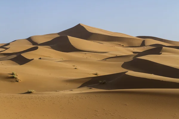 Deserto di sabbia — Foto Stock