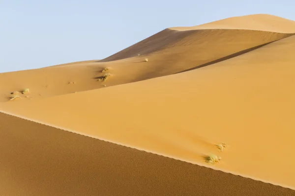 Deserto di sabbia — Foto Stock