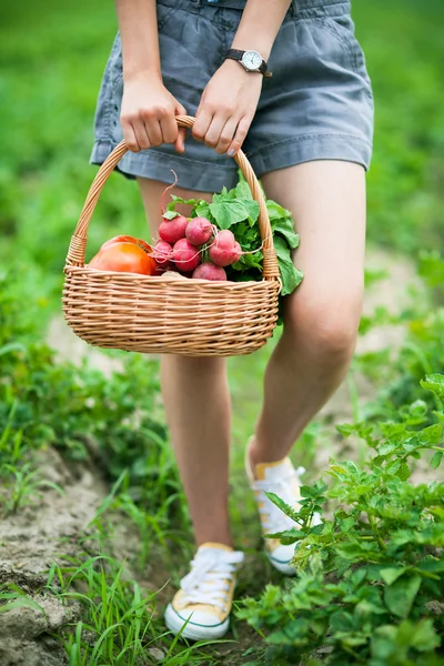 Woman with basket of harvested vegetables — Stock Photo, Image