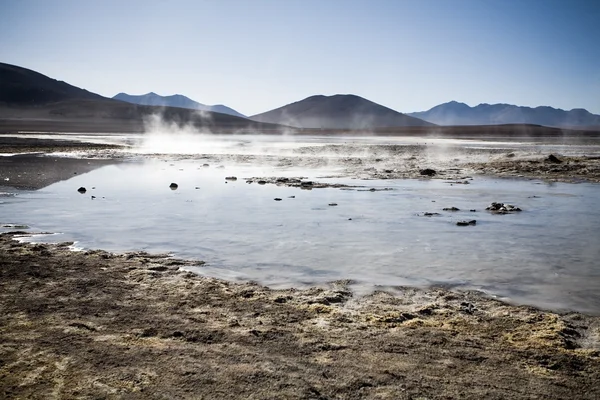 Laguna Colorada in Bolivien Stockbild