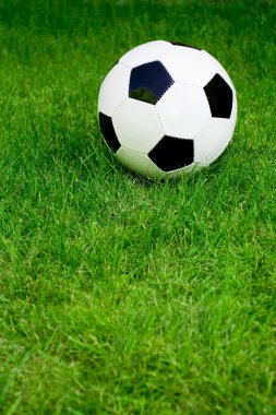 futbol topu çimlerin üzerinde