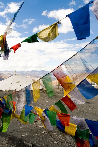 Tibeti ima zászlók, Himalája, India — Stock Fotó