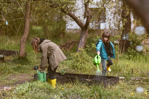 Kinderen Besproeien Planten Gemeenschappelijke Tuin — Stockfoto