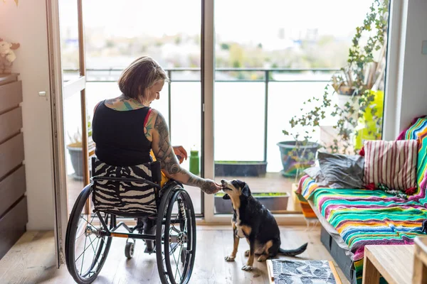 Młoda Kobieta Wózku Inwalidzkim Psem Domu — Zdjęcie stockowe