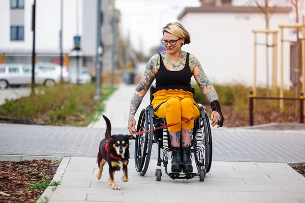 Woman Wheelchair Her Dog Outdoors — Zdjęcie stockowe