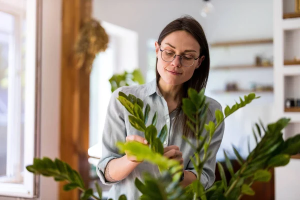 Mujer Joven Cuidando Sus Plantas Interior —  Fotos de Stock
