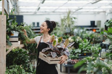 Bahçe merkezinde çalışan bir kadın.