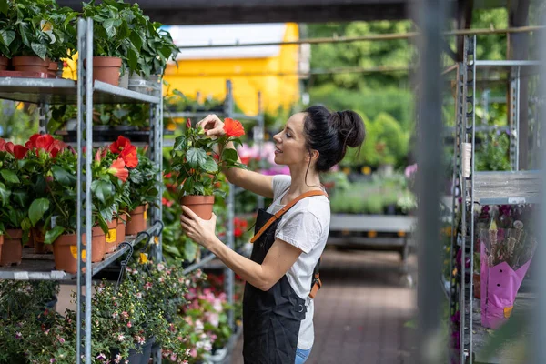 Woman Working Garden Center — Stock Photo, Image