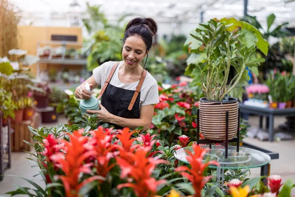 Vrouw Werkend Een Tuin Centrum — Stockfoto