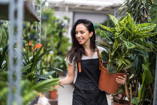 Frau Arbeitet Einem Gartencenter — Stockfoto