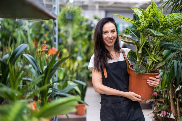 Frau Arbeitet Einem Gartencenter — Stockfoto