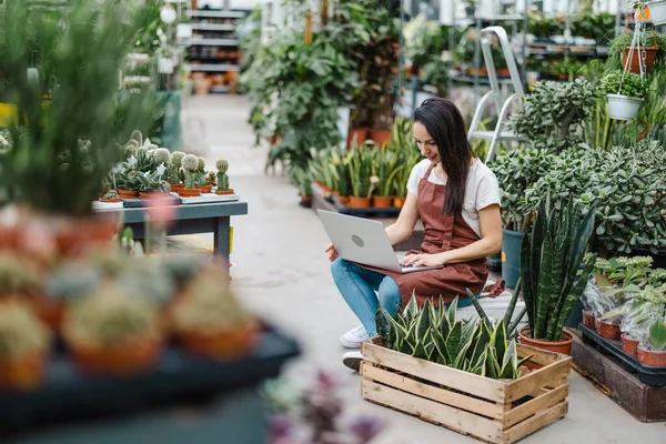 Mujer Trabajando Centro Jardín — Foto de Stock